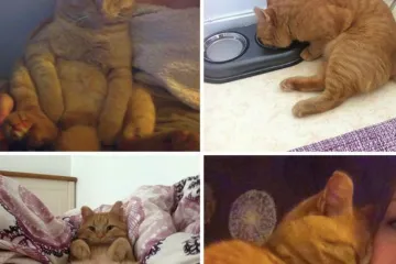 Screenshot 2025 06 11 At 11.14.12 Pm